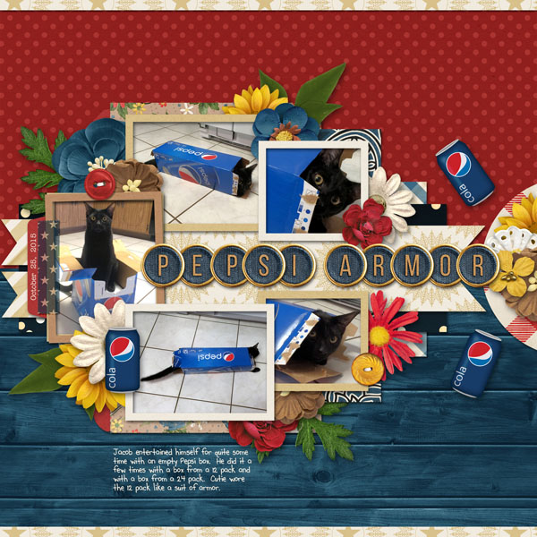 Pepsi Armor