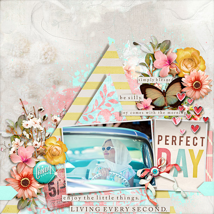 Perfect Day