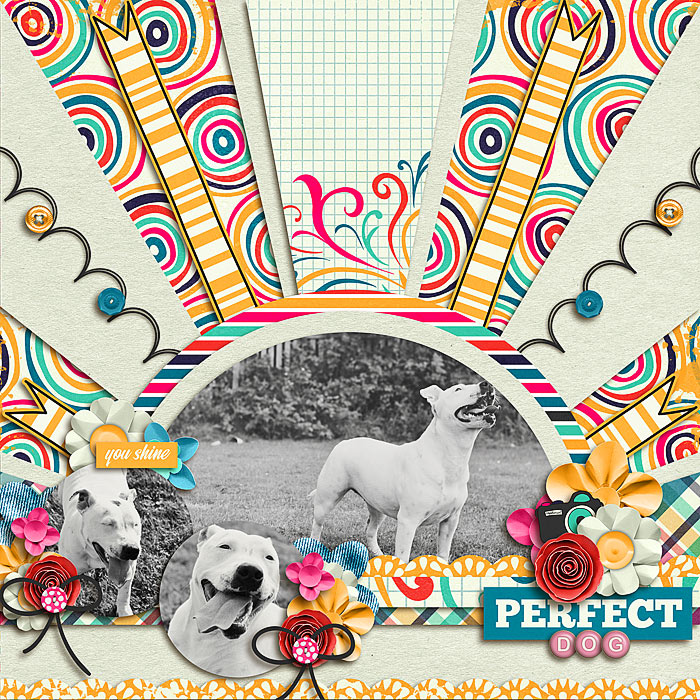 Perfect Dog