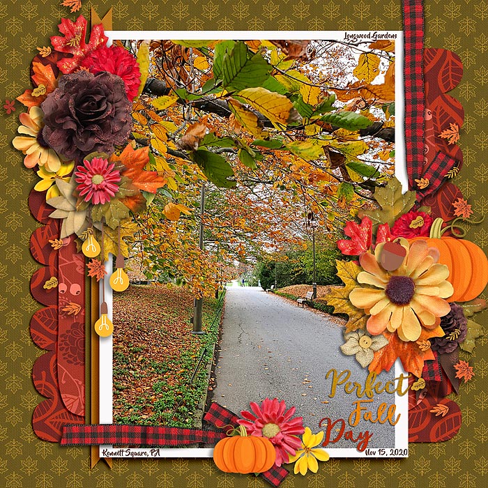 Perfect Fall Day