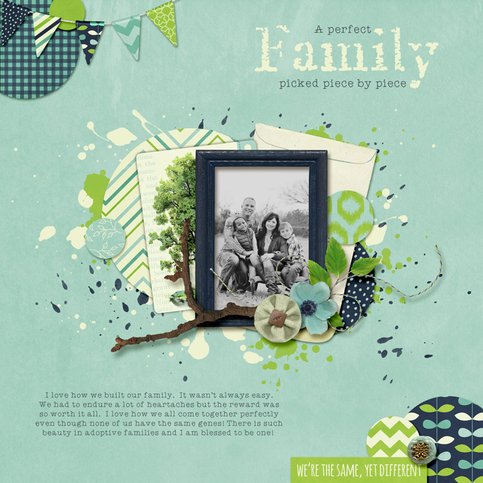 Perfect Family