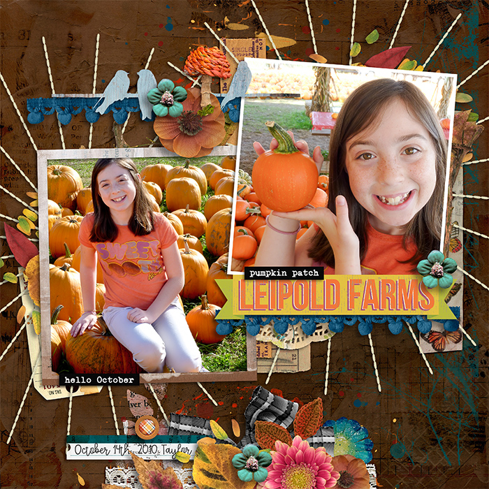 Perfect little pumpkin