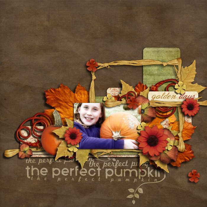 perfect pumpkin