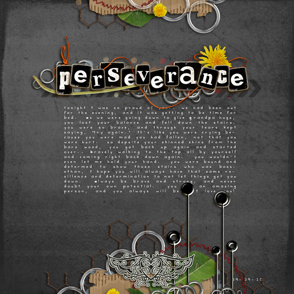 Perseverance