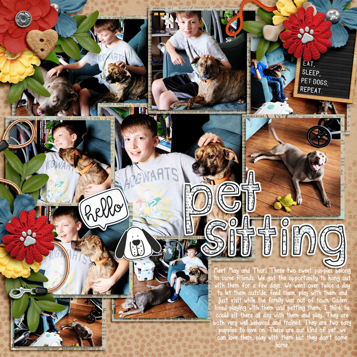 Pet Sitting