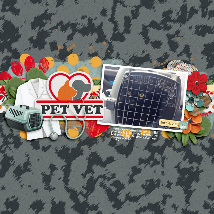 Pet Vet