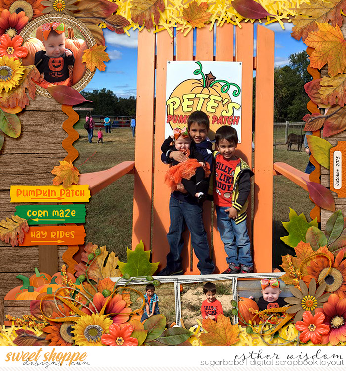 Petes Pumpkin Patch