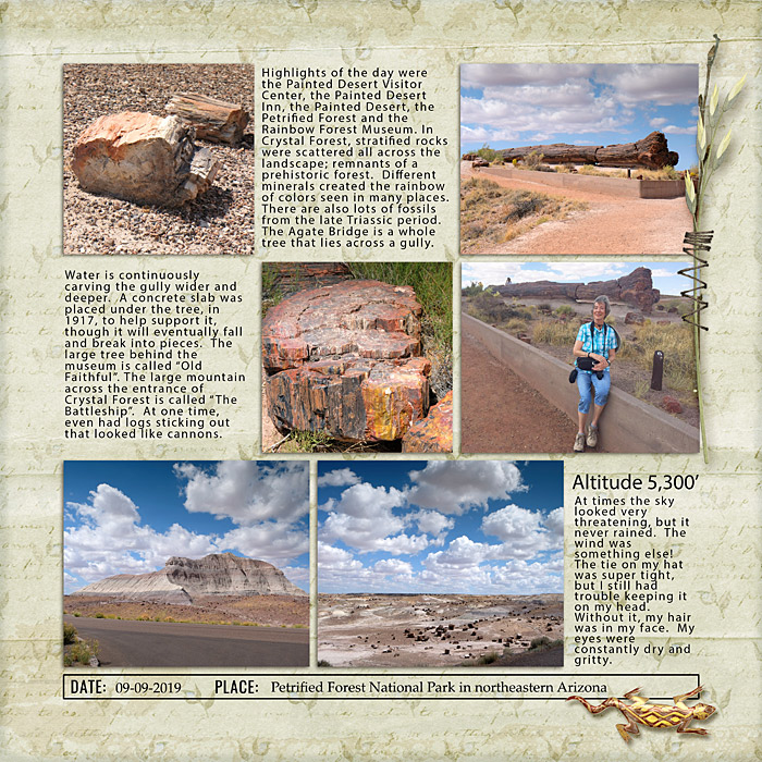 Petrified Forest