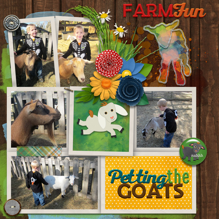 petting the goats