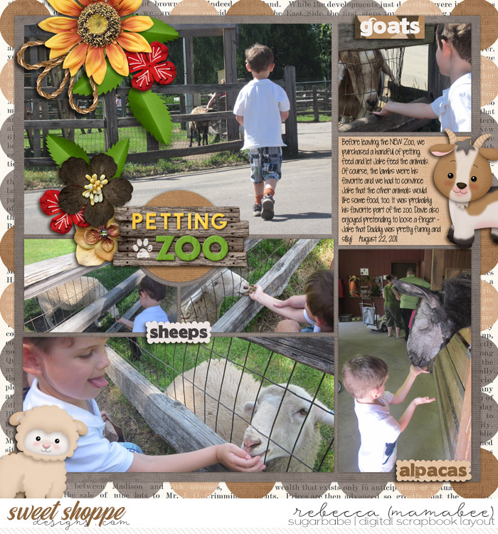 petting zoo