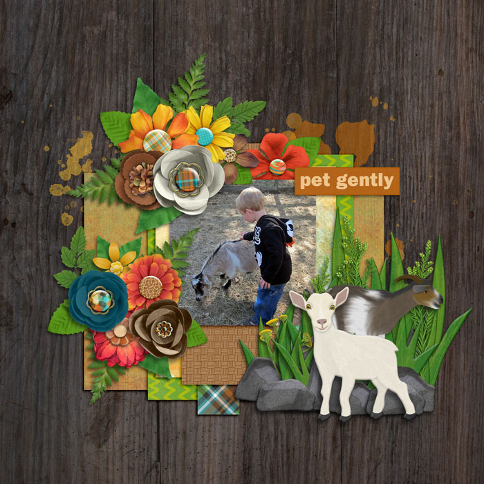 petting zoo