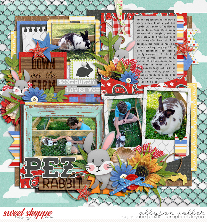 Pez the Rabbit