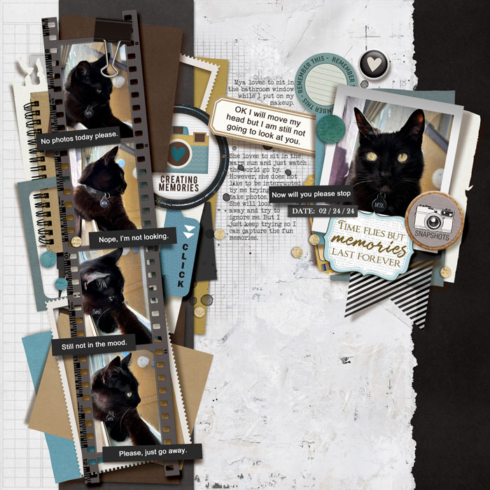 PGAD 2-25 Filmstrip Story