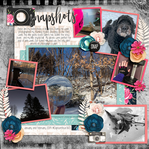 Photo A Day