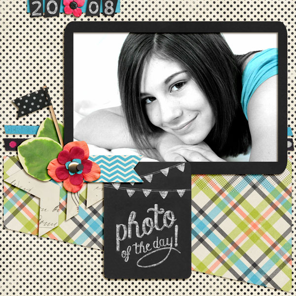 Photo Of The Day - 2008