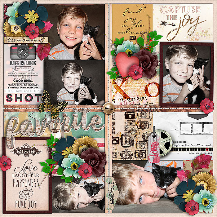 Photo Palooza 15