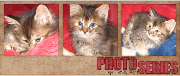 Photo Series