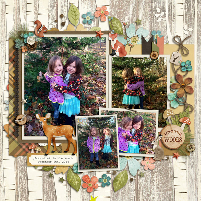 photo shoot in the woods
