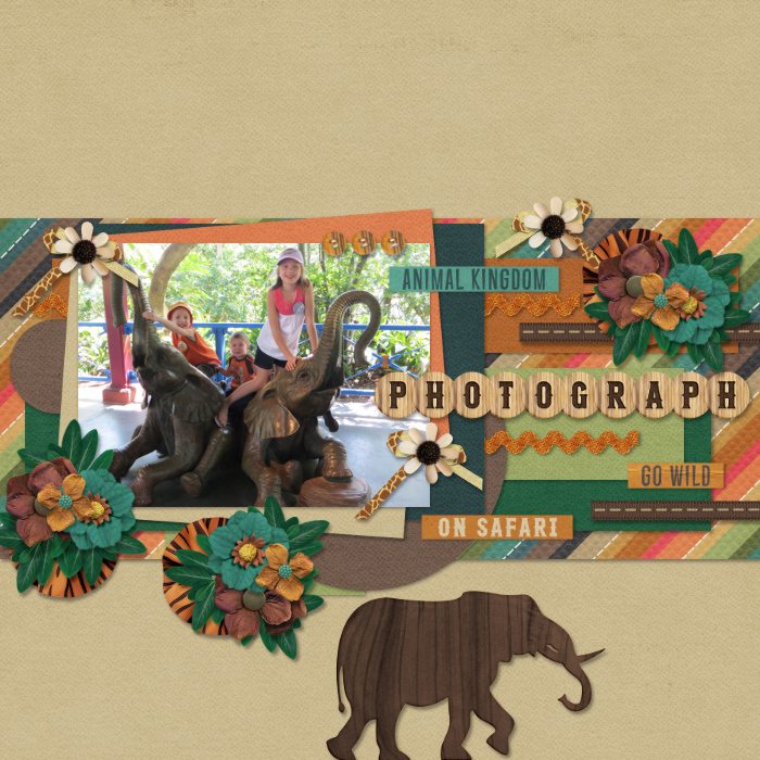 Photograph