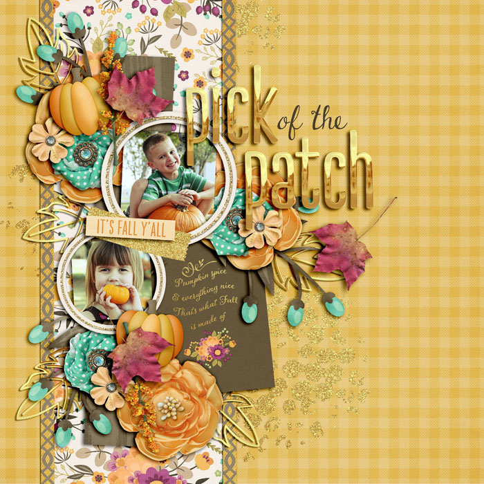 Pick of the Patch