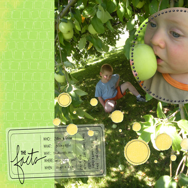 Picking Apples