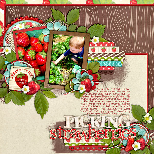 Picking Strawberries