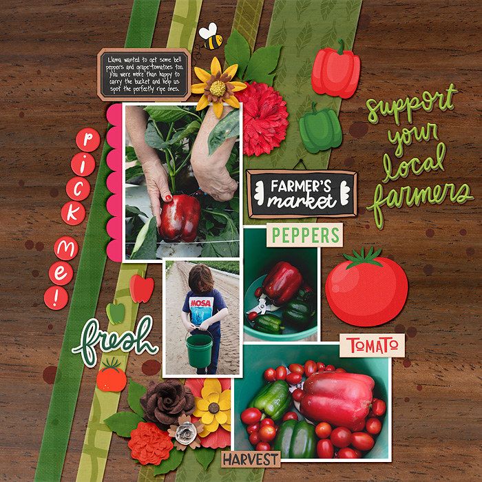 picking tomatoes and peppers