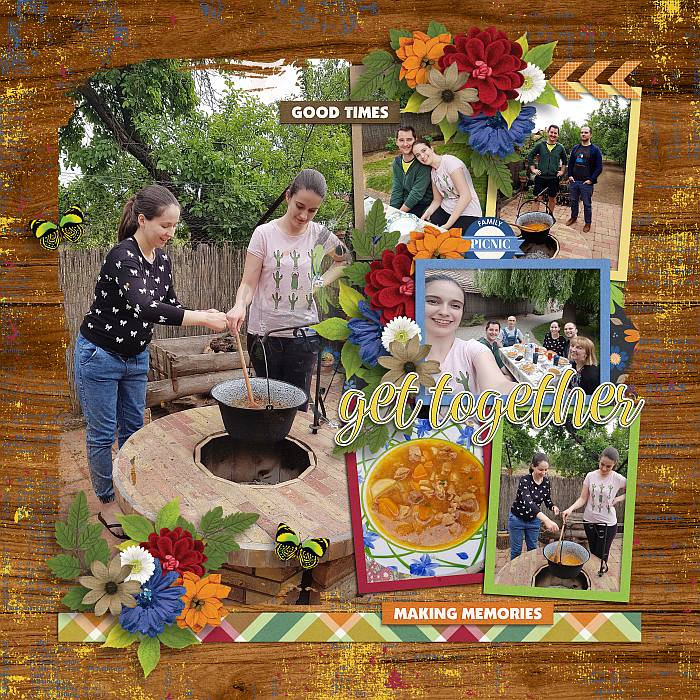 Picnic get together