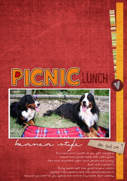 picnic lunch