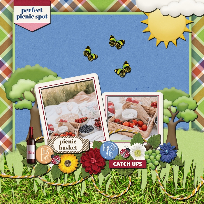 Picnic