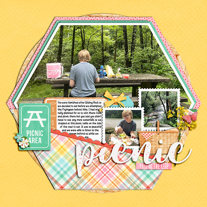 Picnic