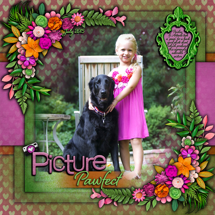 Picture Pawfect