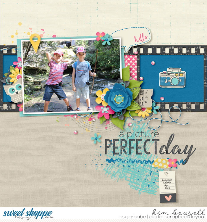Picture Perfect Day