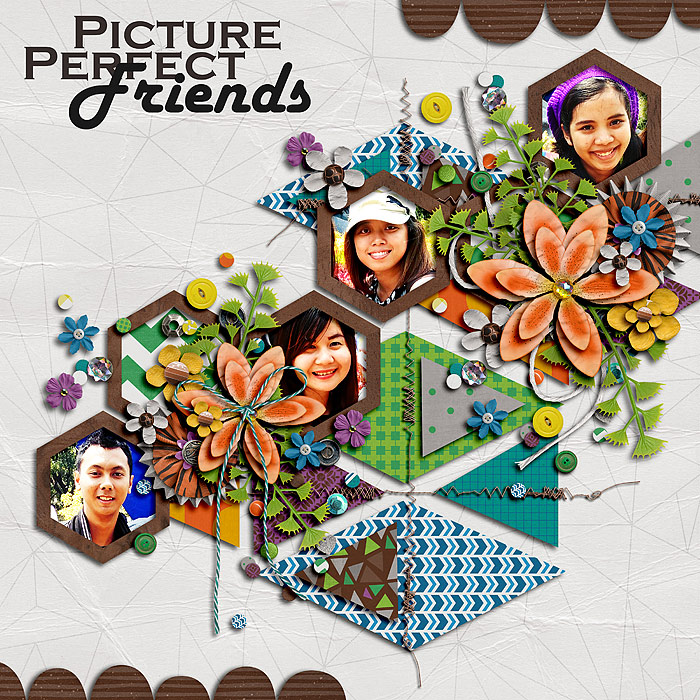 Picture Perfect Friends