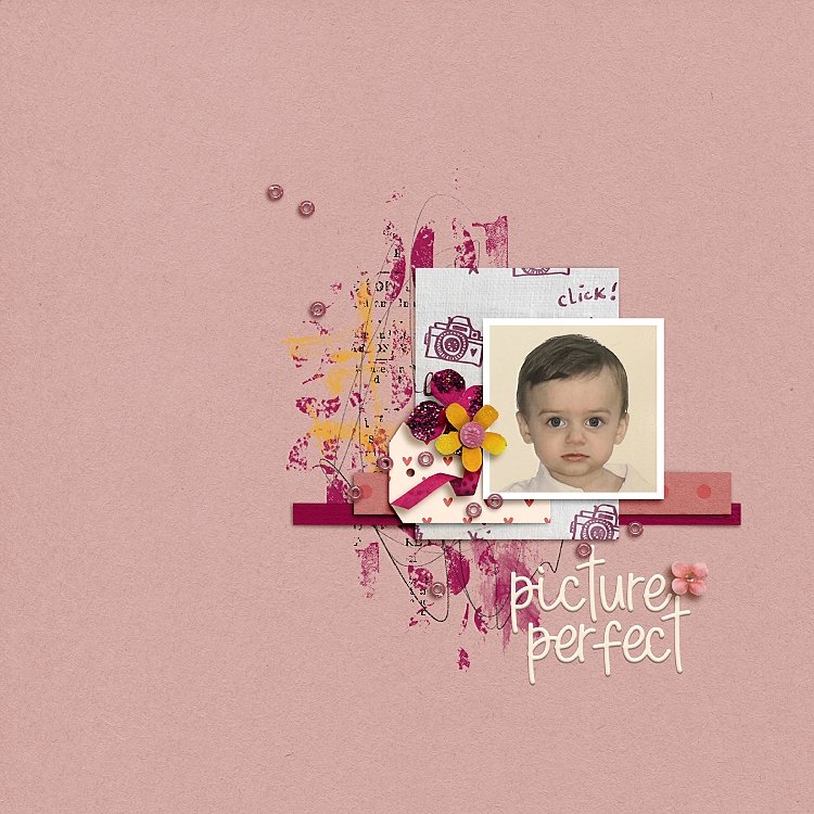 Picture Perfect.jpg