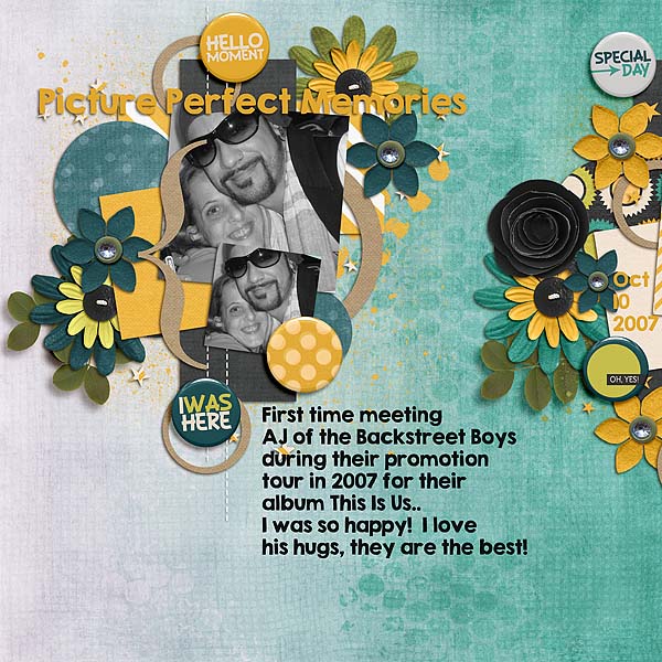 Picture Perfect Memories