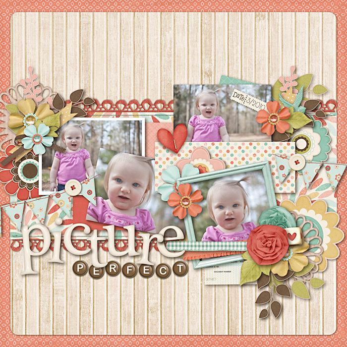 Picture Perfect