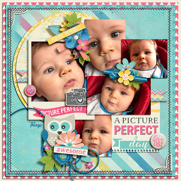 Picture perfect