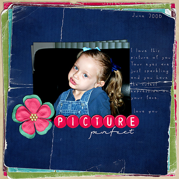 Picture Perfect