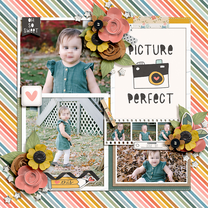 Picture Perfect