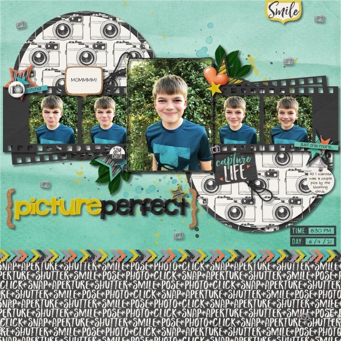 Picture Perfect