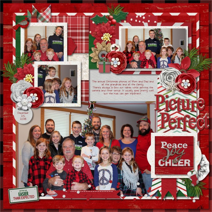 Picture Perfect