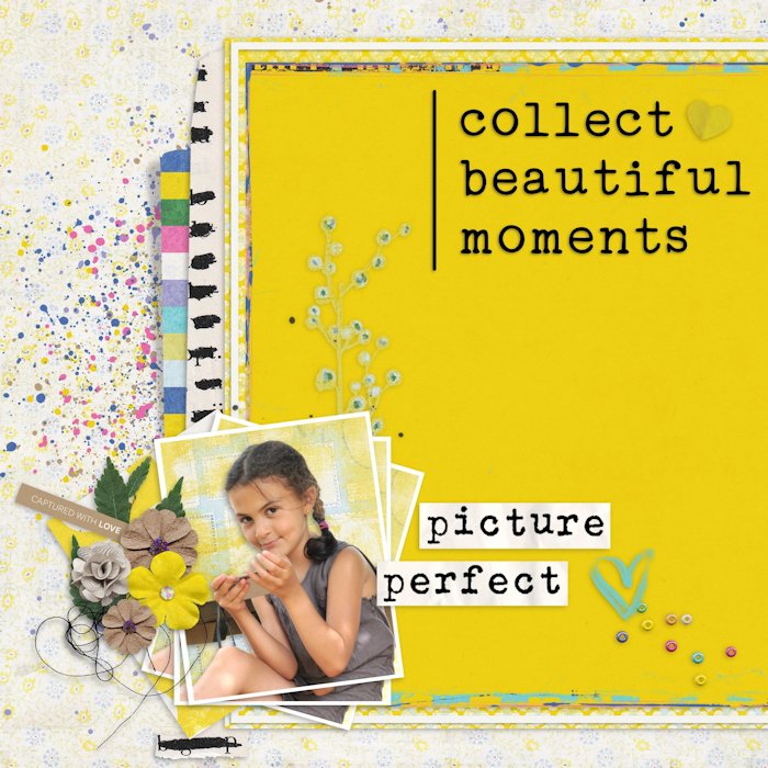 Picture Perfect