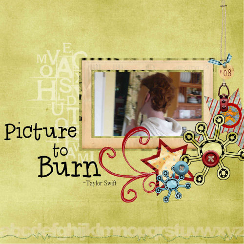 Picture To Burn
