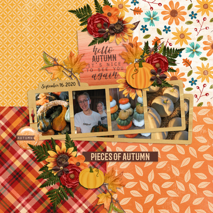 Pieces of Autumn