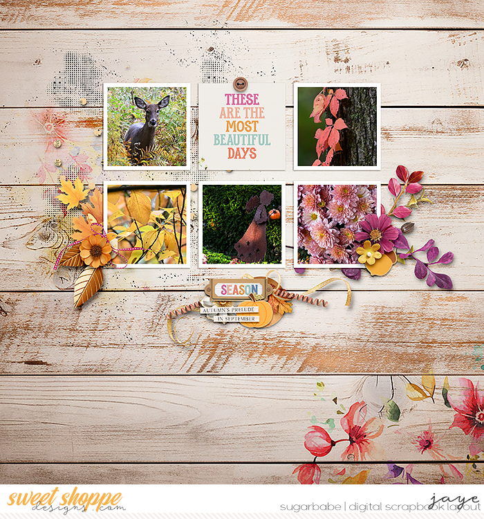 Pieces of Autumn