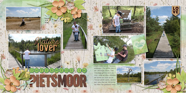 Pietzmoor