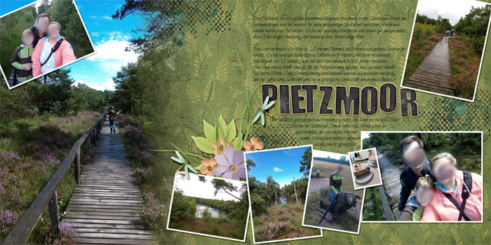 Pietzmoor