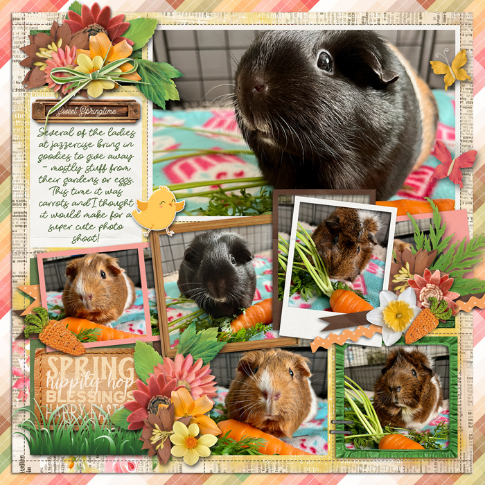 Piggies & Carrots