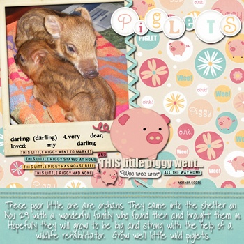 Piglets